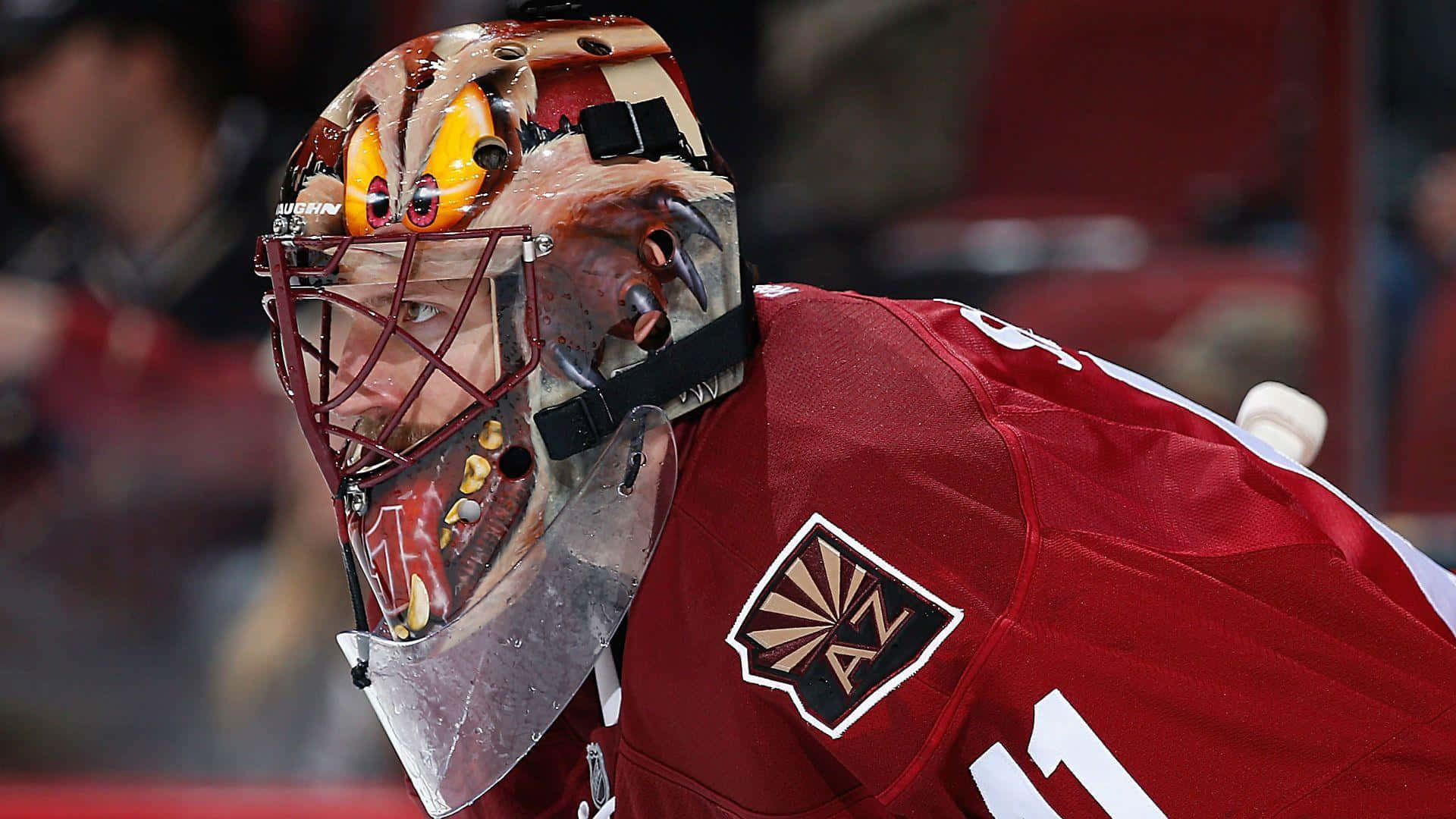 Arizona Coyotes Background