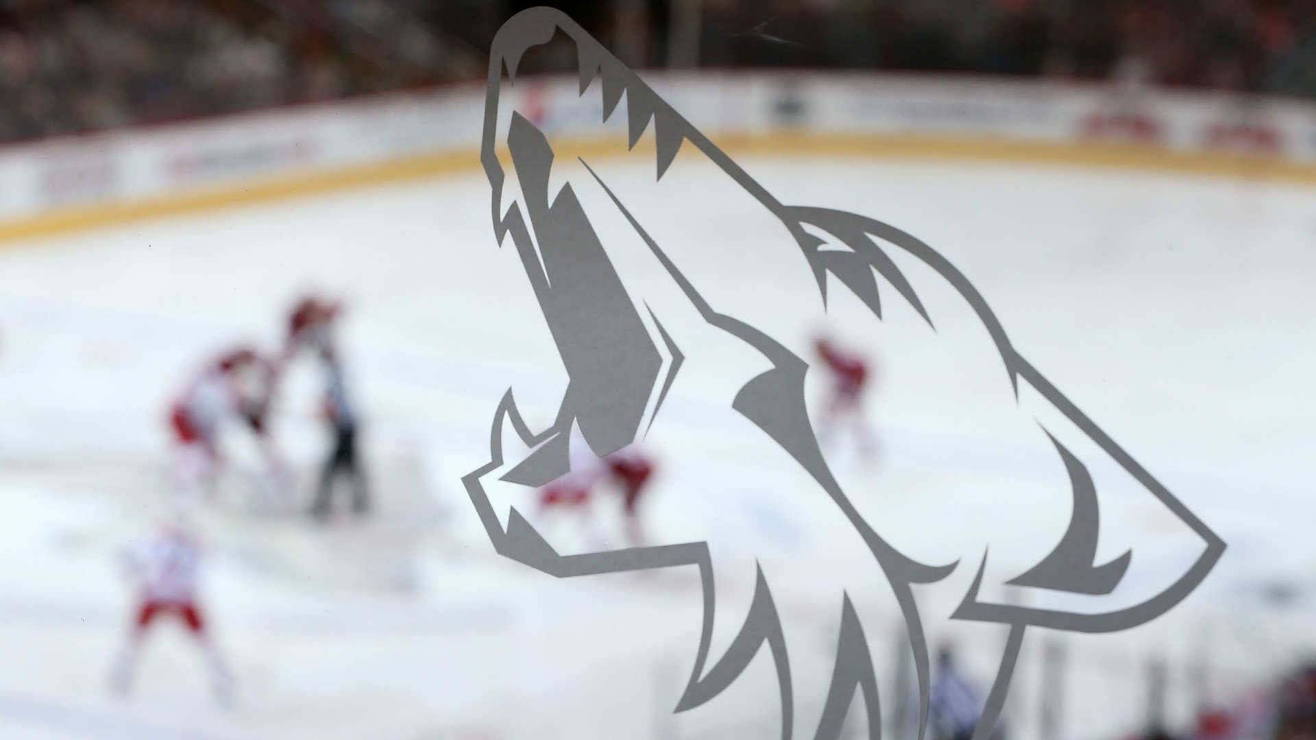Arizona Coyotes On Ice Hockey Rink