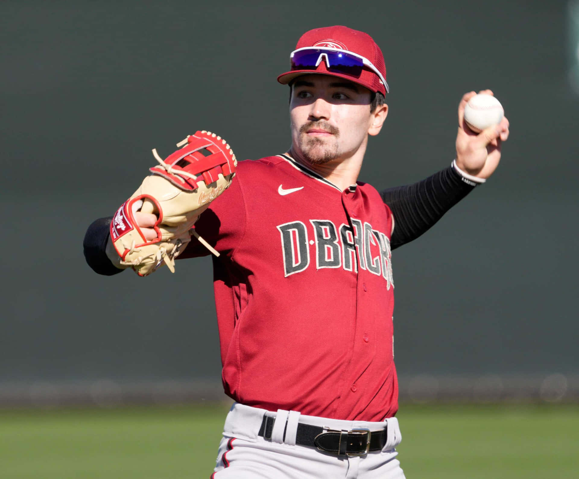 Sfondodegli Arizona Diamondbacks