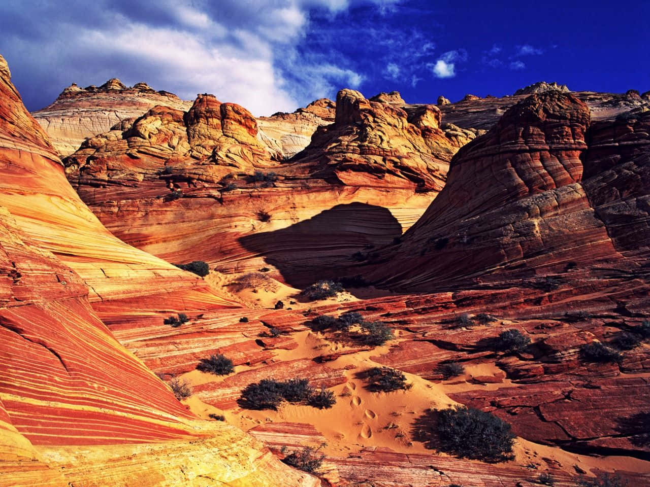 “Bevidne skønheden i Arizona's ørkener”