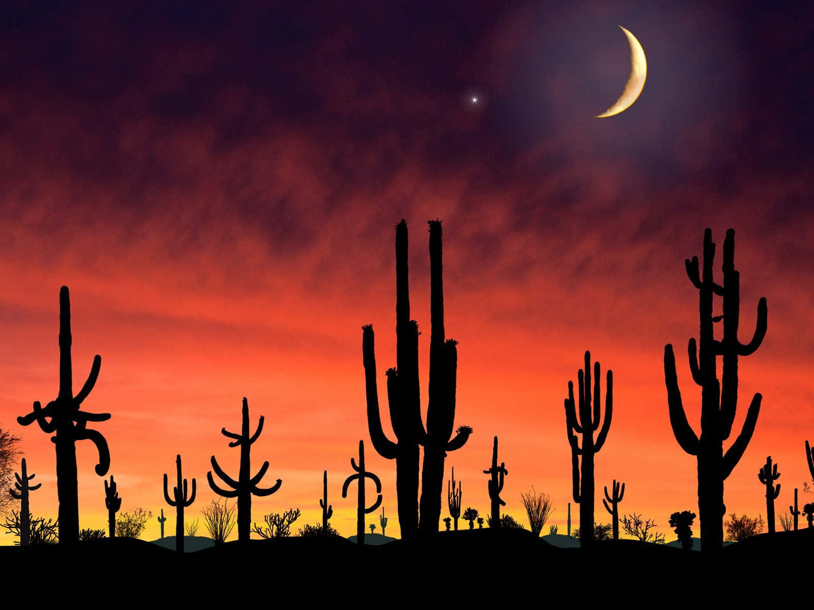 Det Arizona ørken Landskab er fyldt med farver.