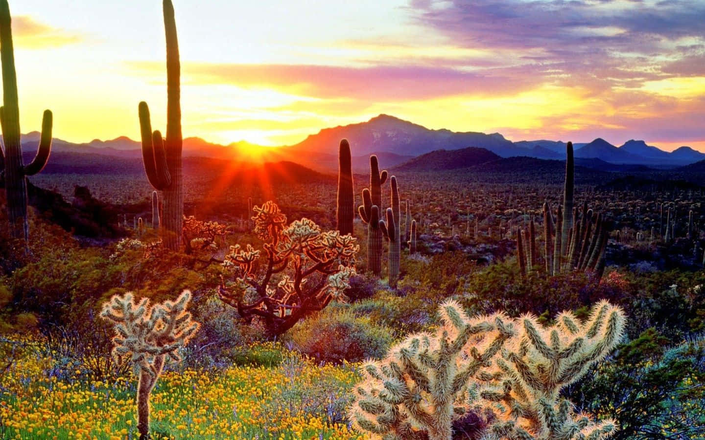 Umglorioso Pôr Do Sol No Arizona.