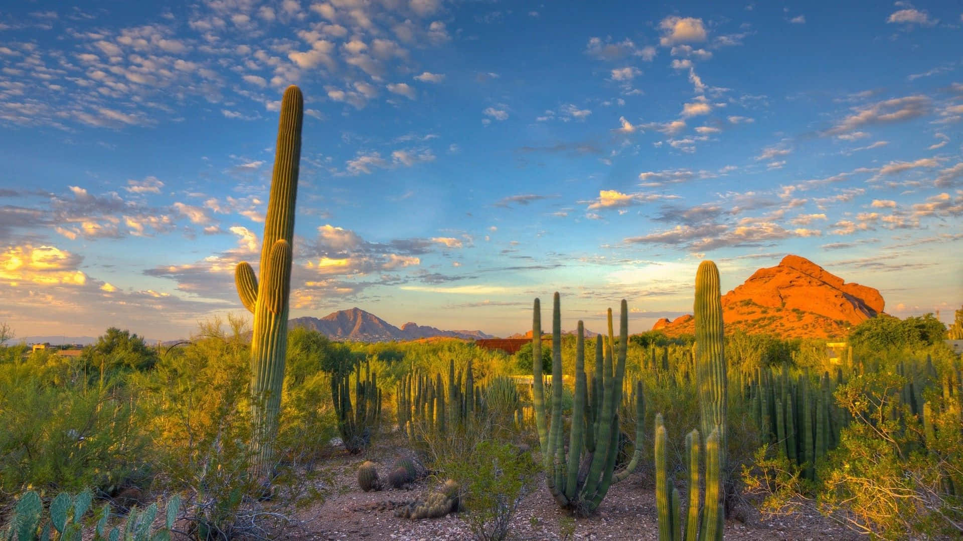 Unglorioso Atardecer En Arizona Enmarcado Por Las Majestuosas Montañas Rocosas.