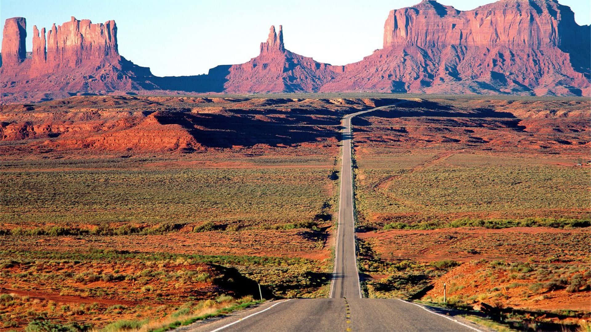 Tag på tur til den fantastiske ørkenen i Arizona!