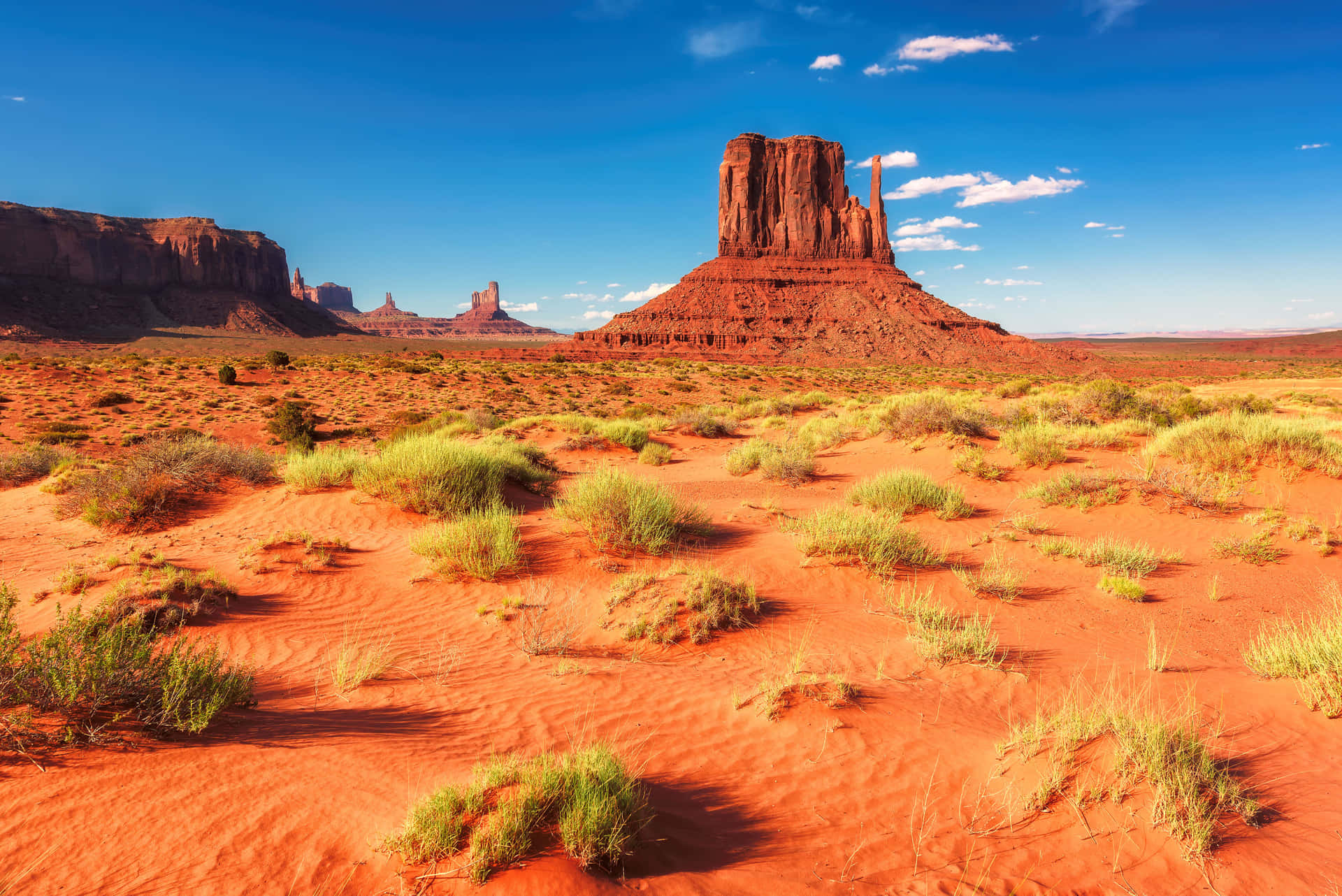 Erlebensie Die Einzigartige Schönheit Der Wüste Von Arizona.