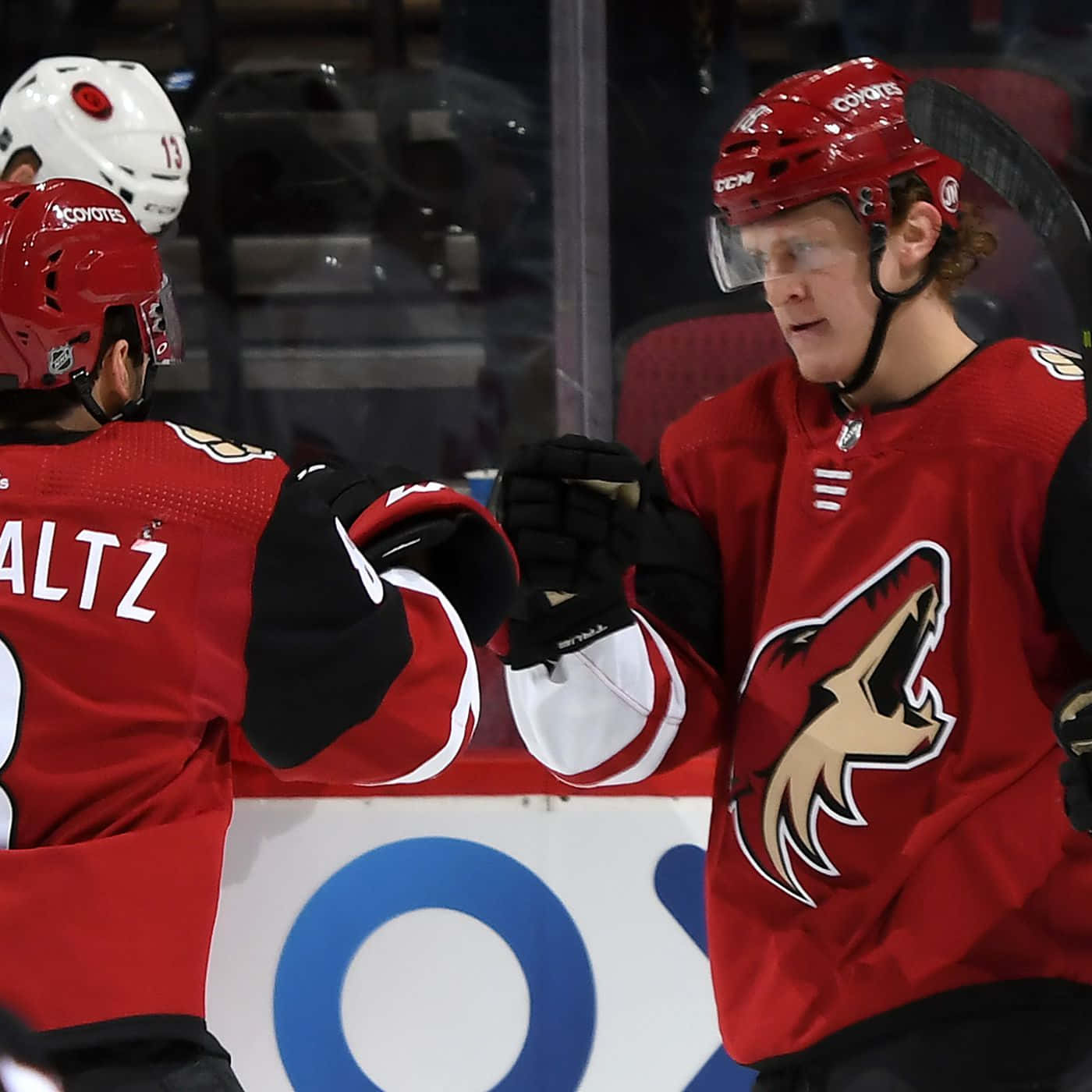 Arizonacoyotes Bakgrund