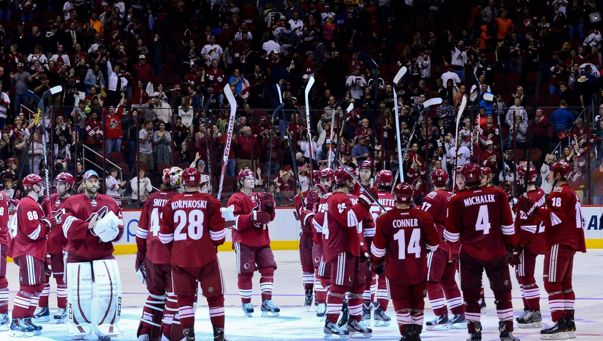 Arizonacoyotes Bakgrundsbild