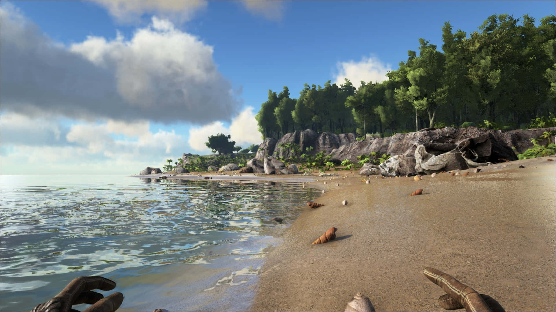 A Screenshot Of A Beach With A Tree And A Palm Tree Wallpaper
