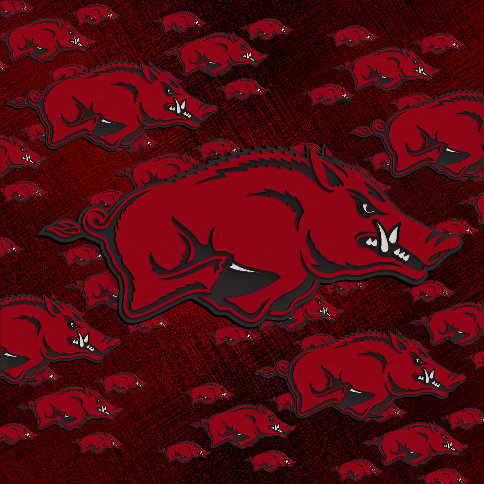Welcome to the Home of the Arkansas Razorbacks Wallpaper