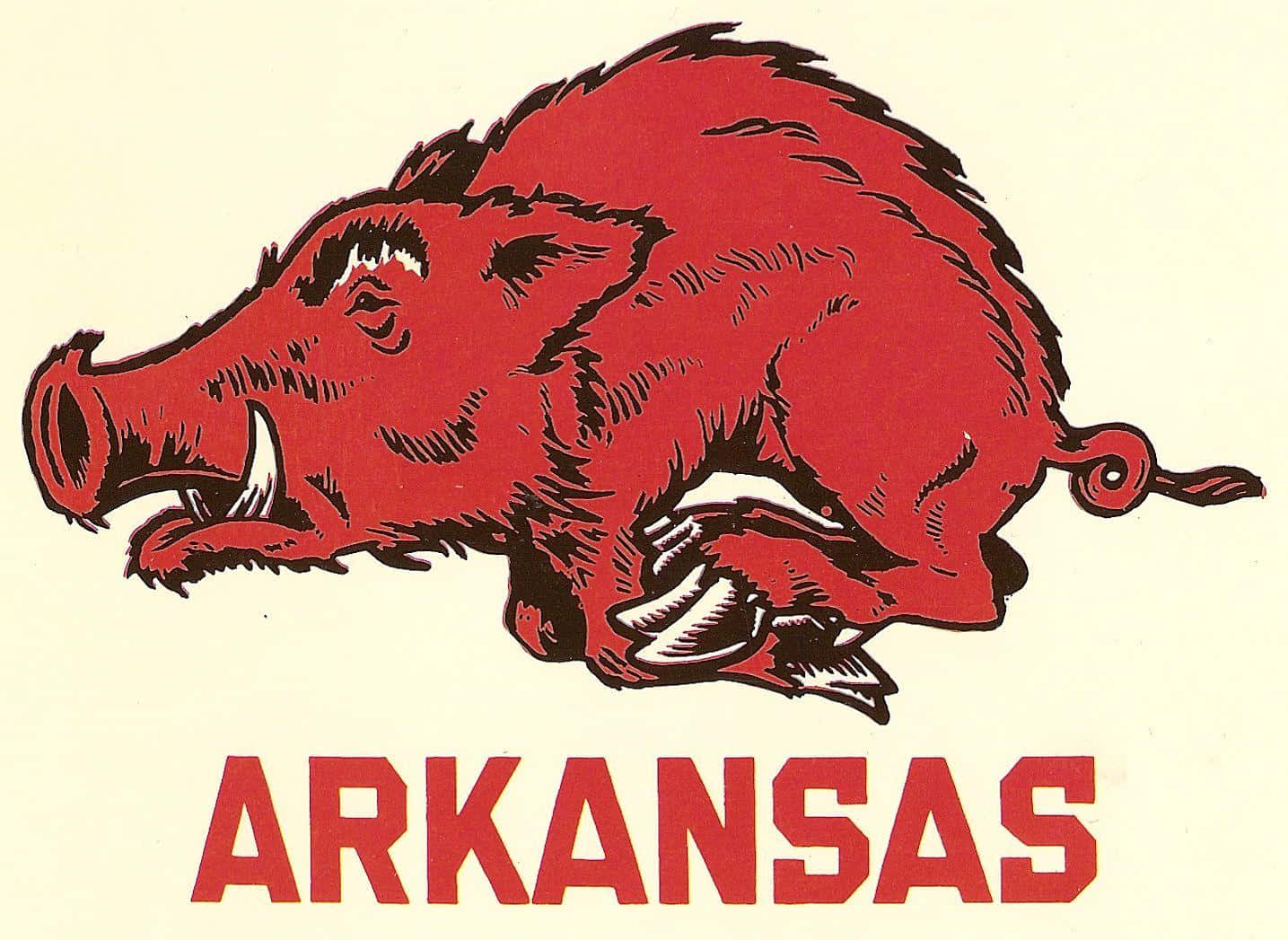 Vis din støtte til Arkansas Razorbacks! Wallpaper