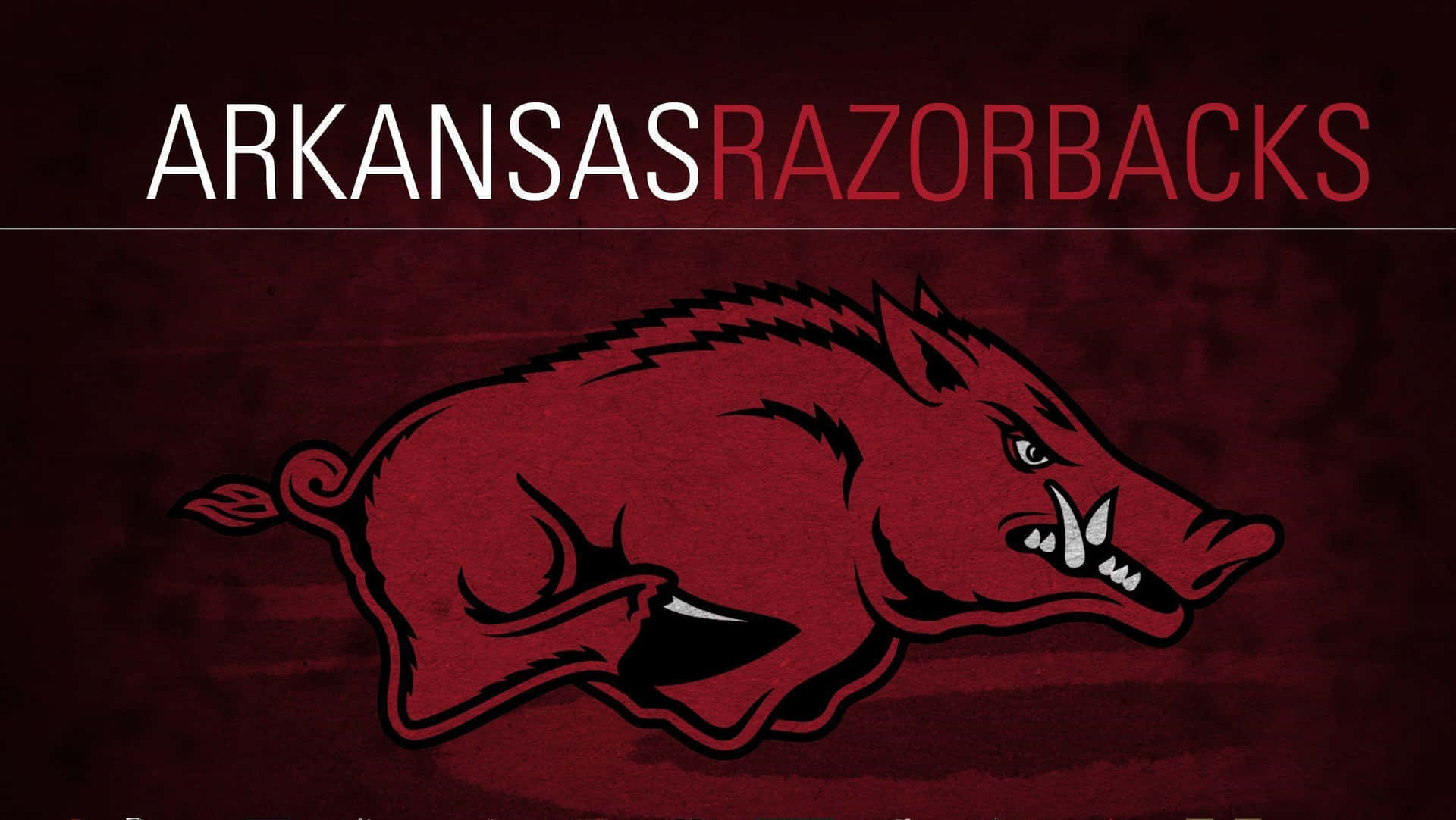 Arkansas Logo red logo football arkansas razorbacks HD wallpaper   Peakpx
