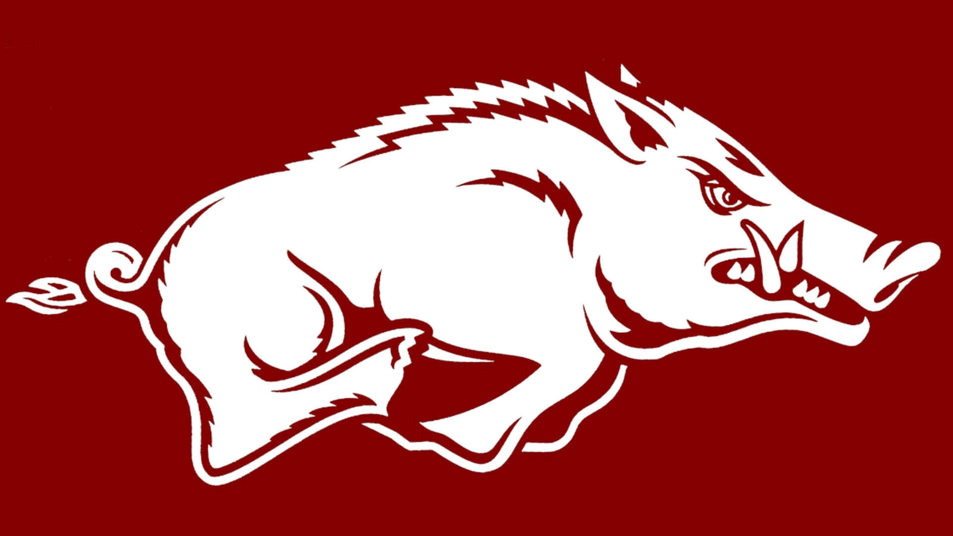A White Arkansas Razorback Logo On A Maroon Background Wallpaper
