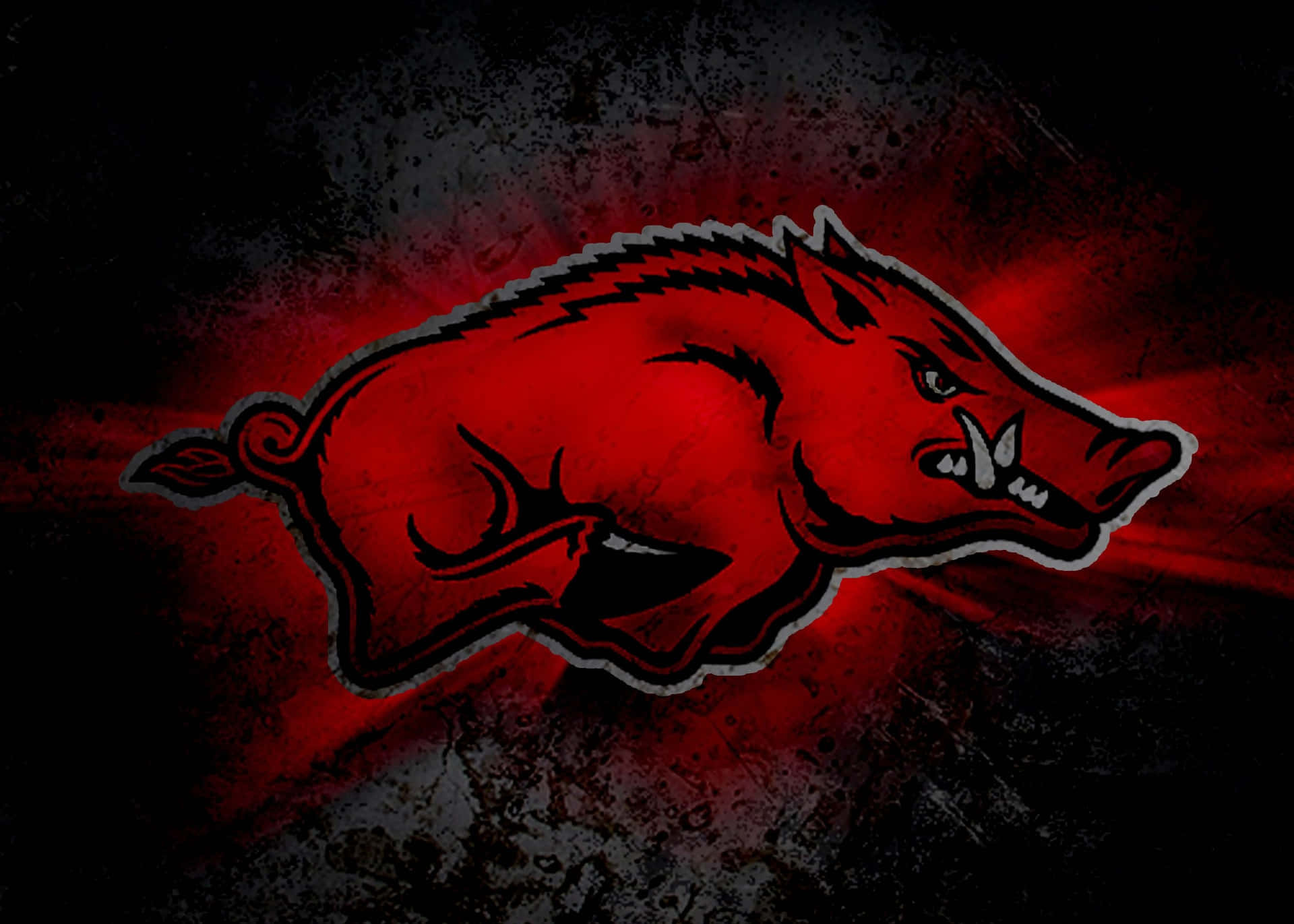Arkansas Razorbacks Red Boar Wallpaper