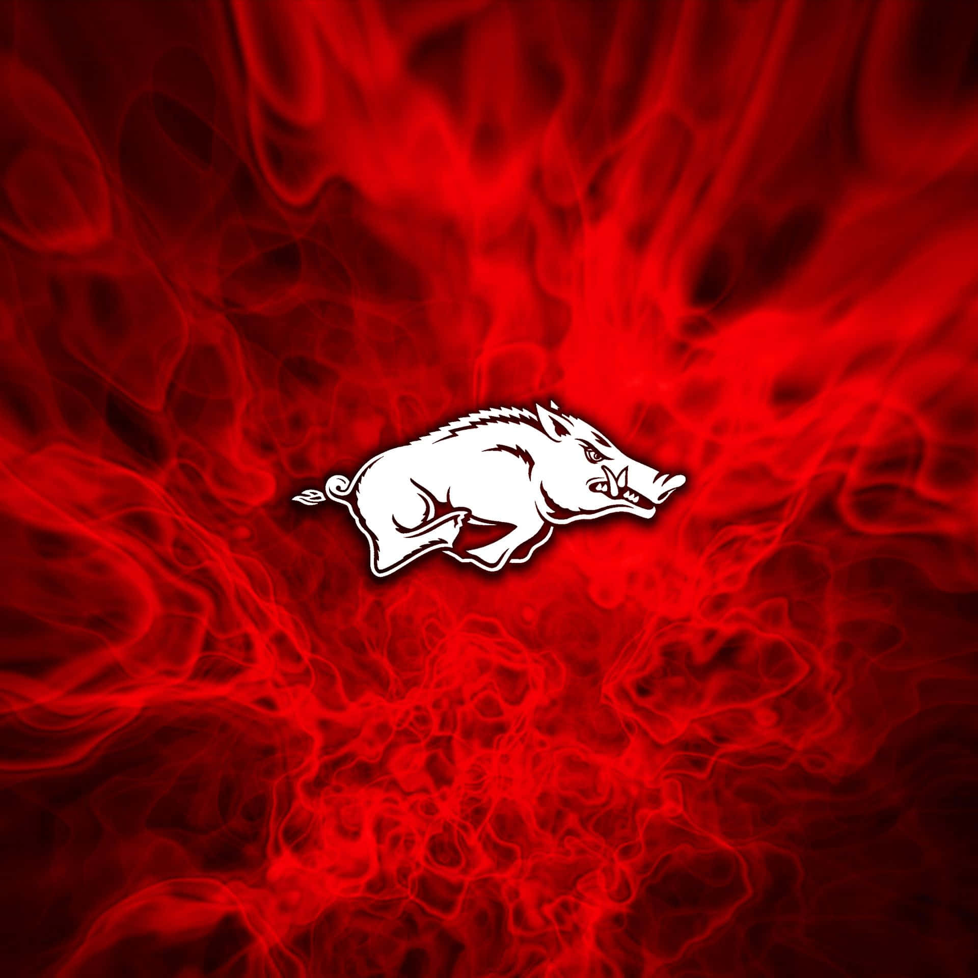 Representing the state of Arkansas, the Razorbacks proudly stand athwart their opponents. Wallpaper