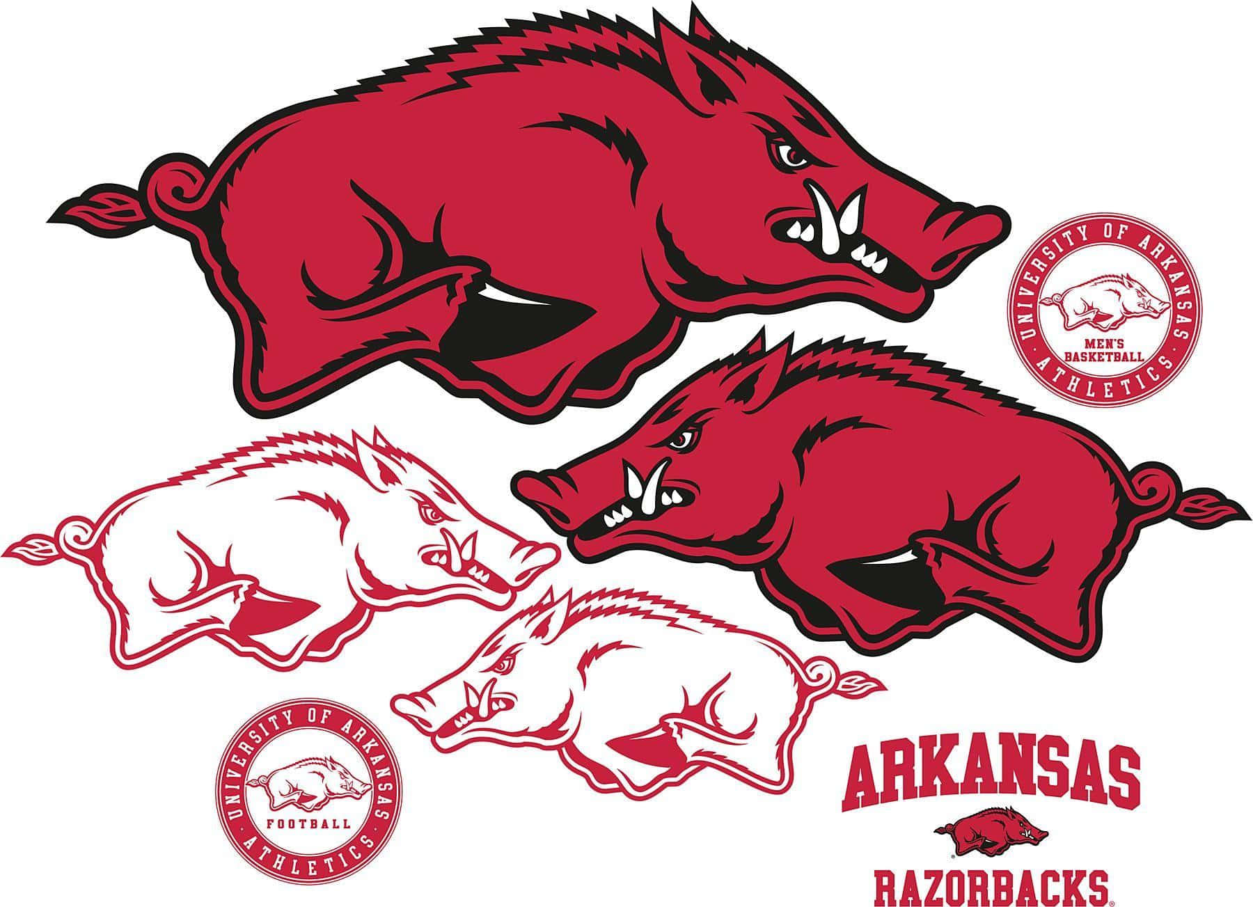 Proudly Show Your Hogs Pride! Wallpaper