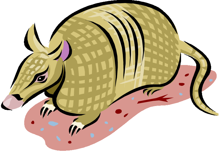 Armadillo Cartoon Illustration PNG