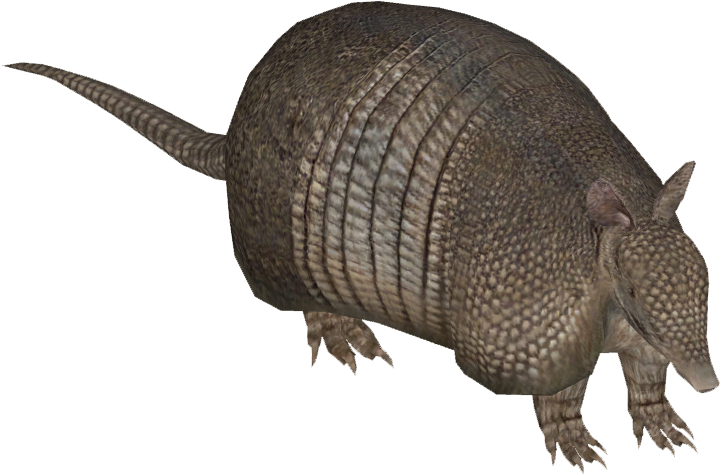 Armadillo Side View Graphic PNG