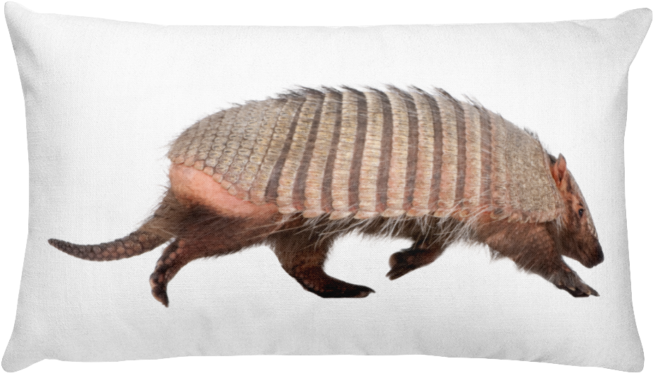 Armadilloon Pillow Graphic PNG