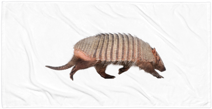 Armadilloon White Background PNG