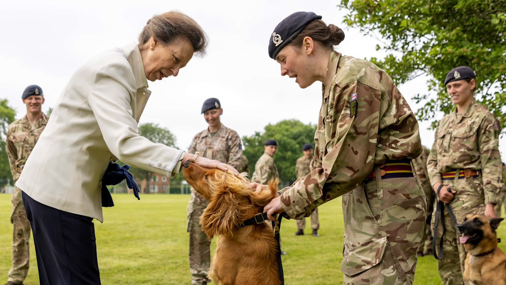 Legerhond Ontvangt Award Achtergrond