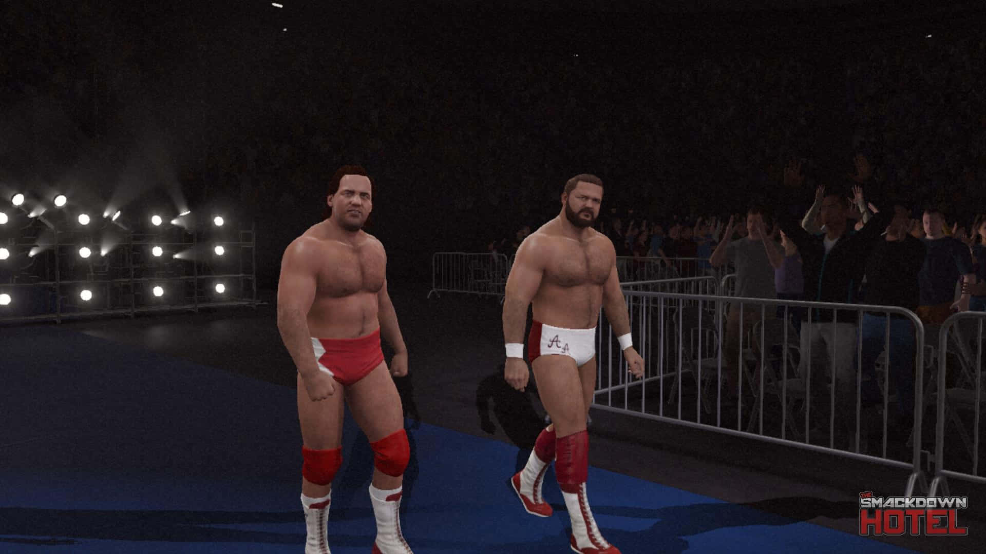 Arn Anderson And Larry Zbyszko Wallpaper