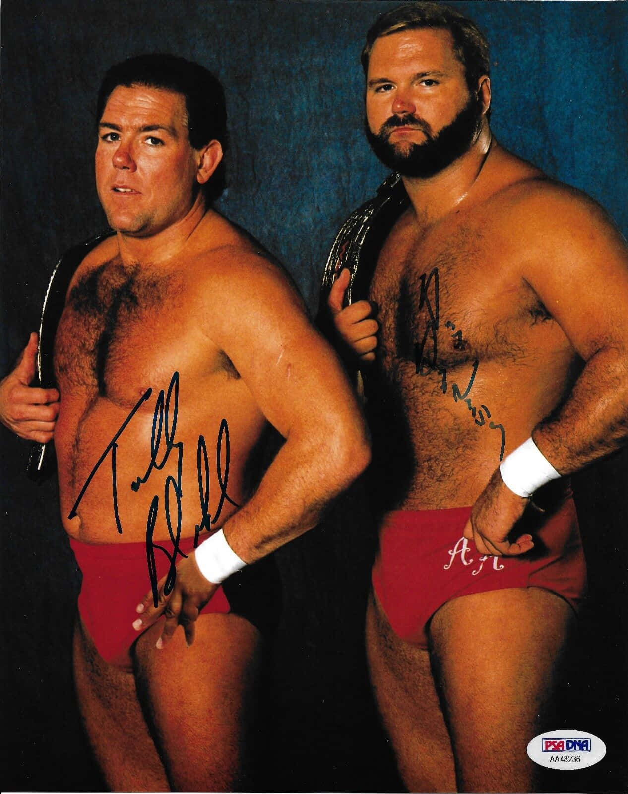 Arn Anderson And Tag Team Tully Wallpaper