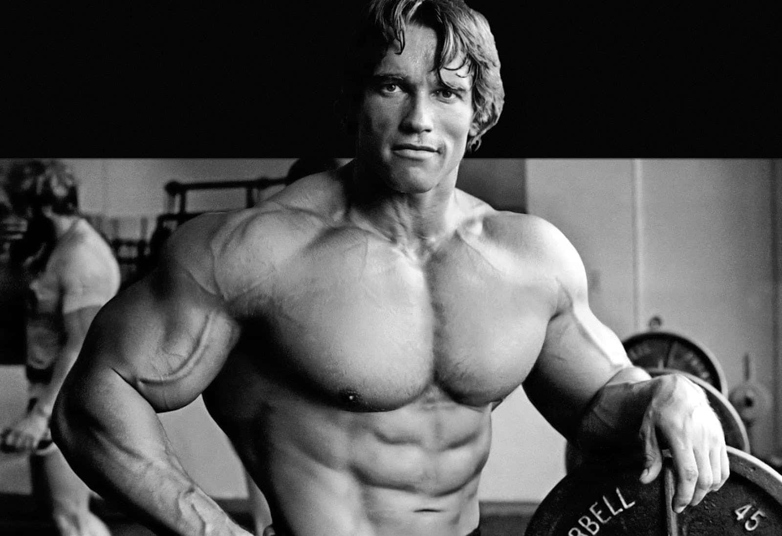 Arnold Schwarzenegger, the iconic action star
