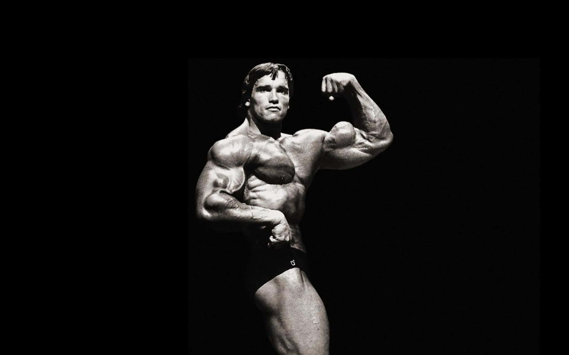 Arnold Schwarzenegger ,,posąg Front Double Biceps V.2 Ze Stojakiem Wysokość  20/36/55cm bronze Photoshoot - Etsy