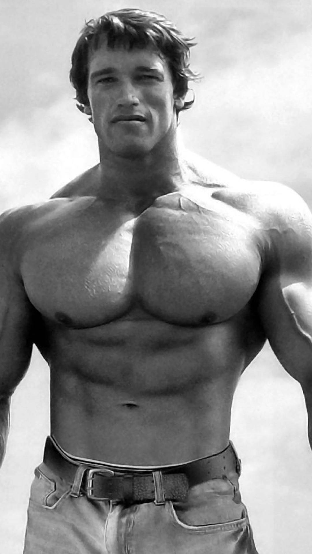 Arnold Schwarzenegger Big Muscle Body