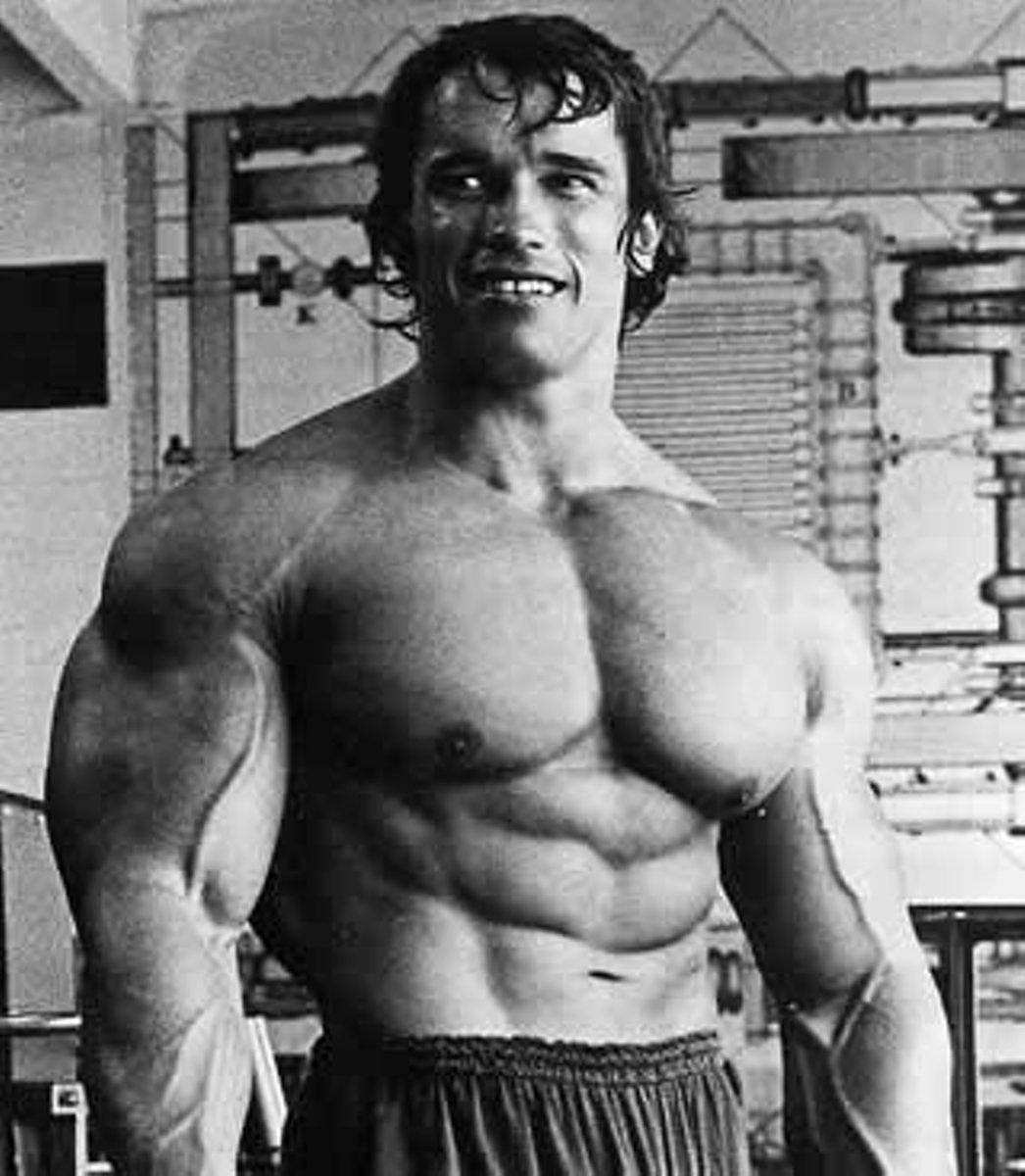 Arnold Schwarzenegger Body Builder