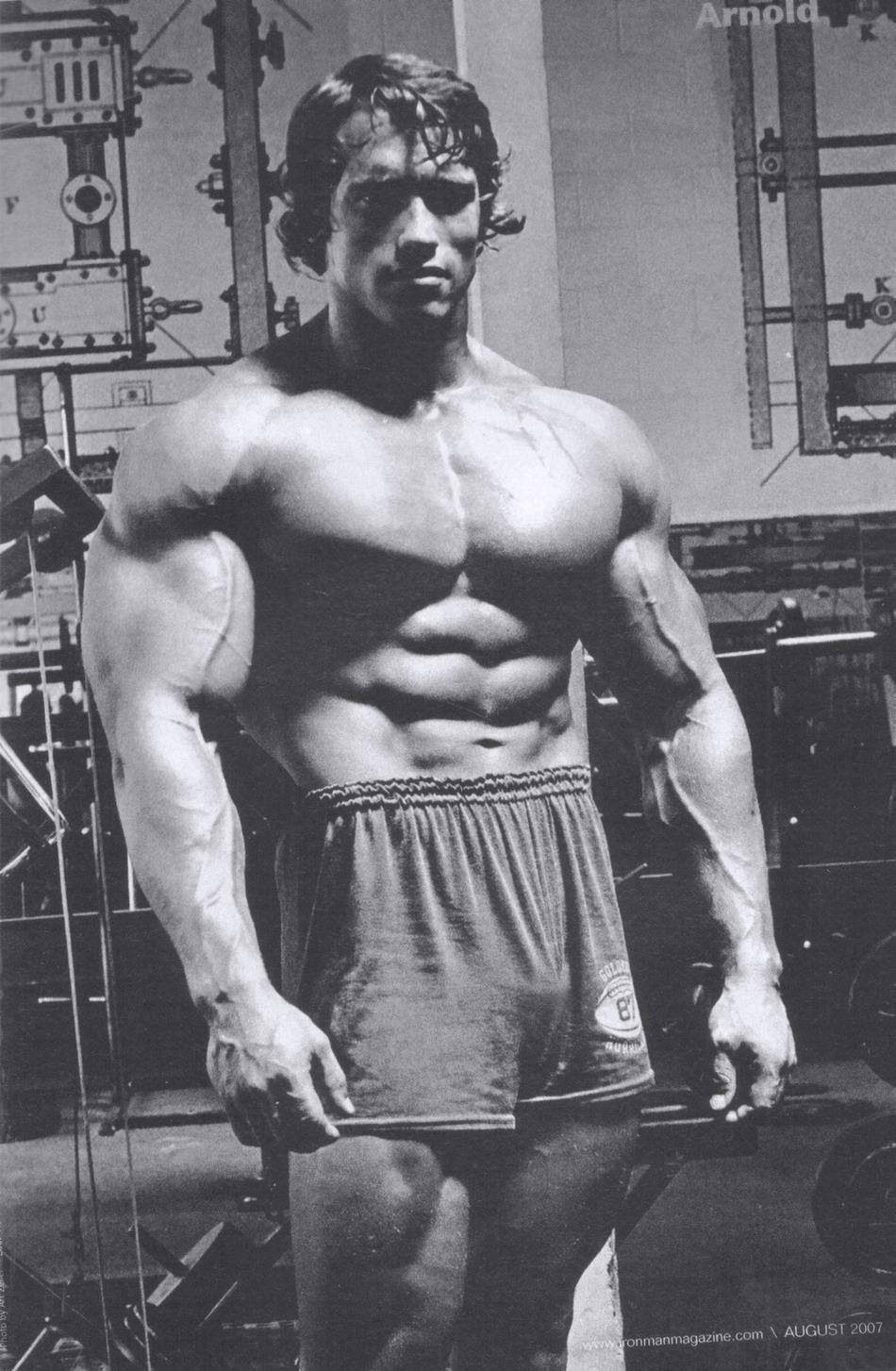 Arnold Schwarzenegger Body Building Icon Picture