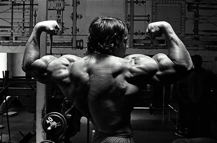 Download Arnold Schwarzenegger Bodybuilders Hd Wallpaper 