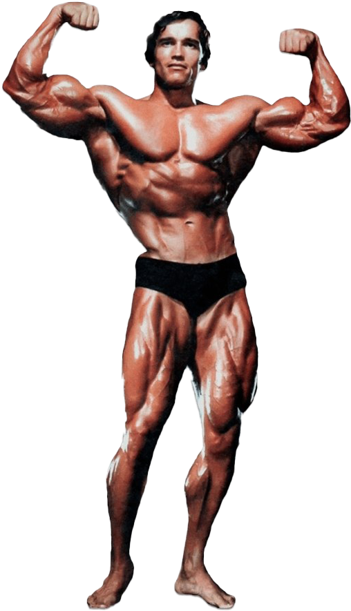 Arnold Schwarzenegger Bodybuilding Pose PNG
