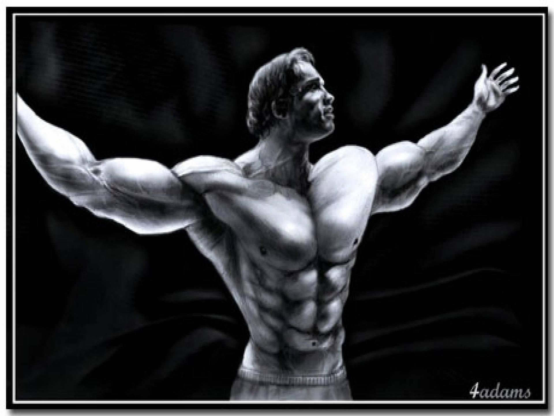 Arnold Schwarzenegger Bodybuilding Wallpapers  Top Free Arnold  Schwarzenegger Bodybuilding Backgrounds  WallpaperAccess