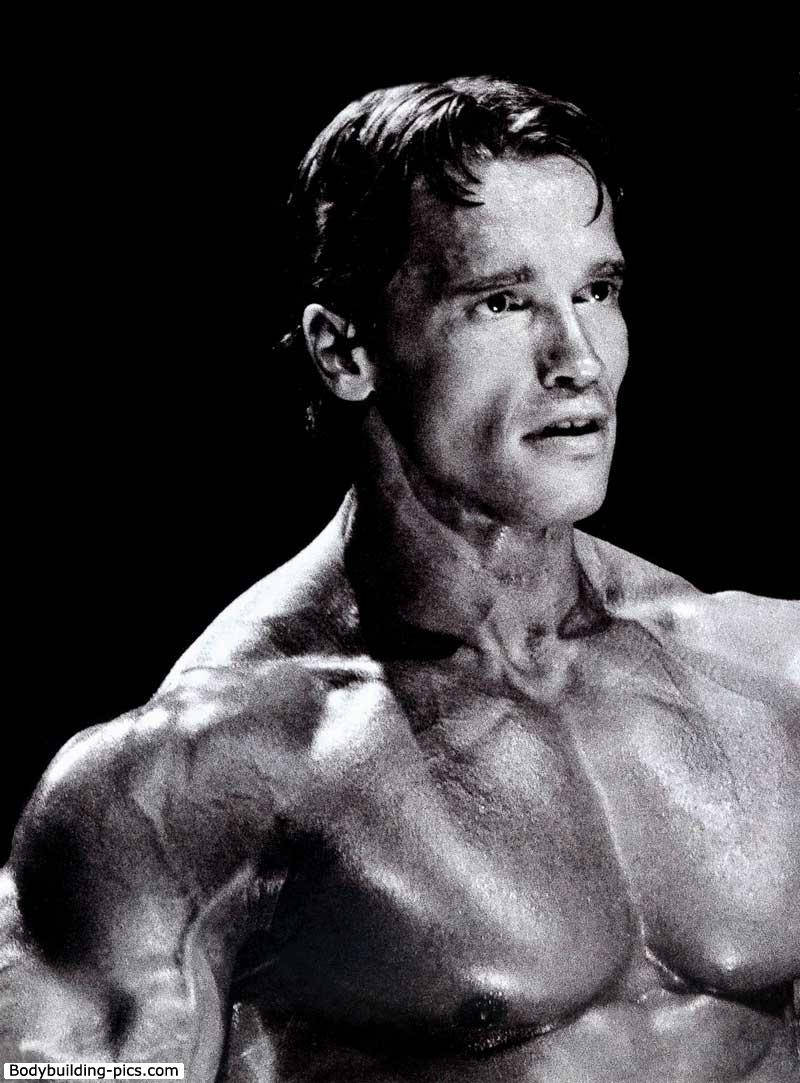 Arnold Schwarzenegger Half Body Shot