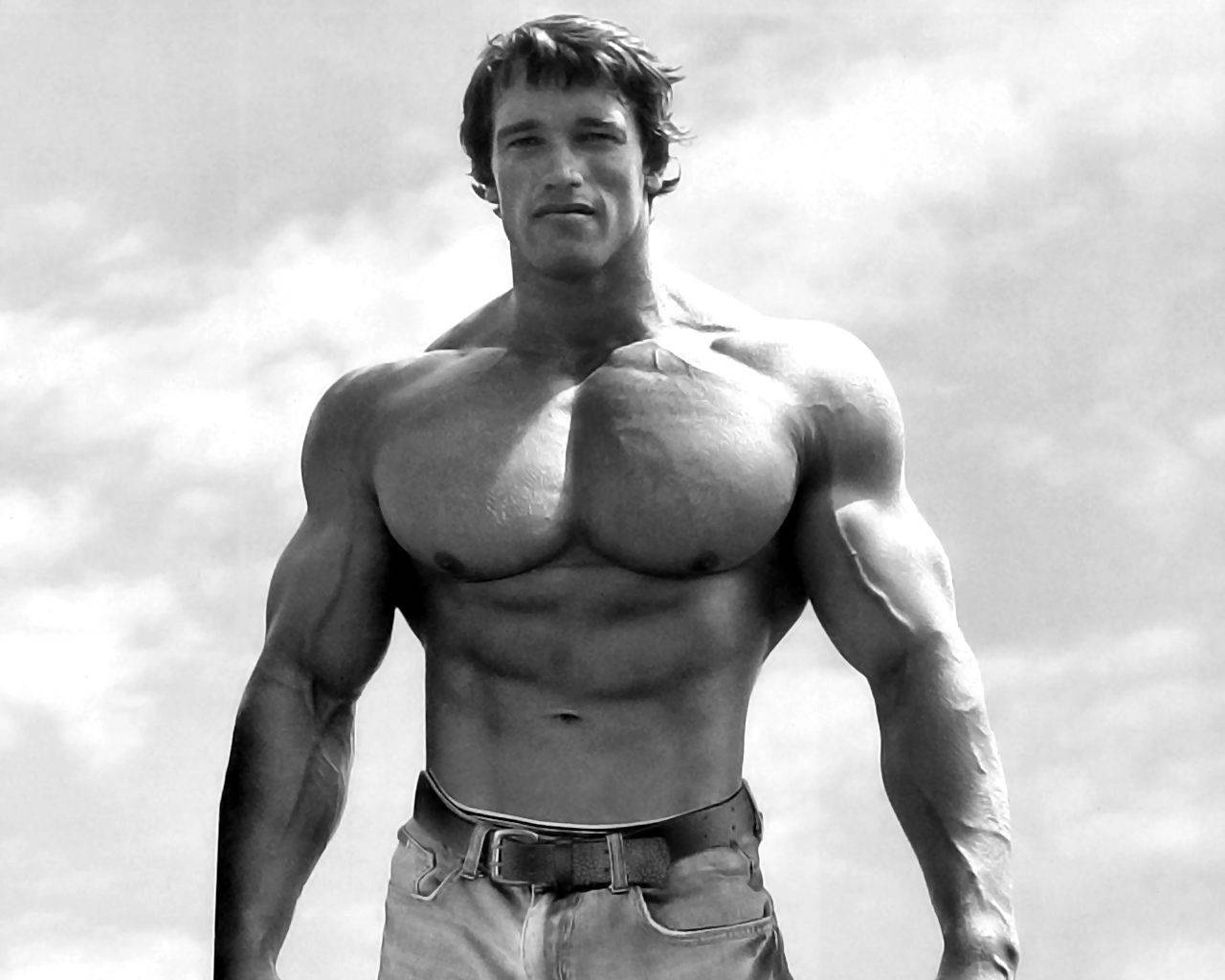 Arnold Schwarzenegger - Legendarisk skuespiller og tidligere guvernør for Californien Wallpaper