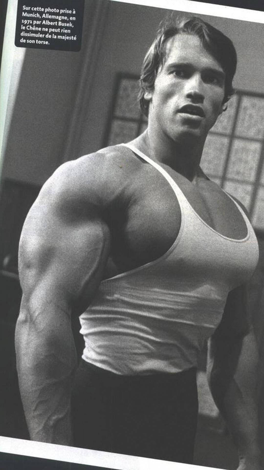 Arnold Schwarzenegger Heavy Big Muscle Background
