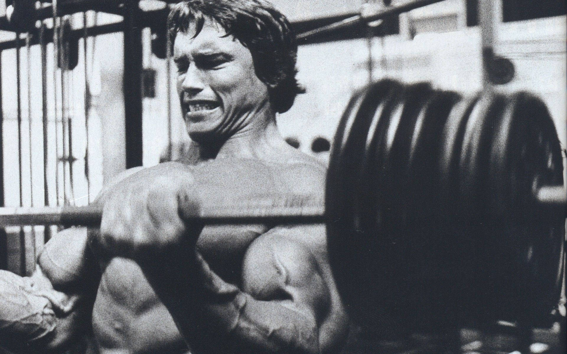 Arnold Schwarzenegger Heavy Dumbbell Picture
