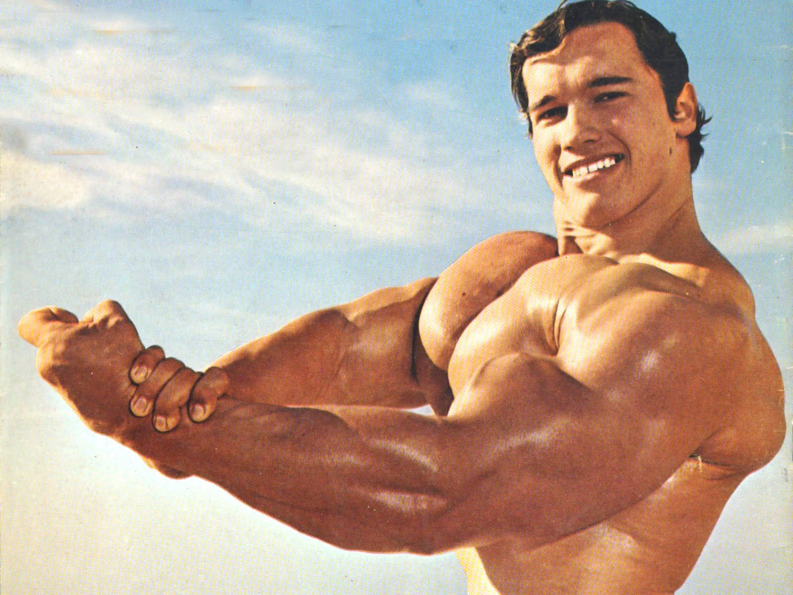 Arnold Schwarzenegger Heavy Muscle Picture