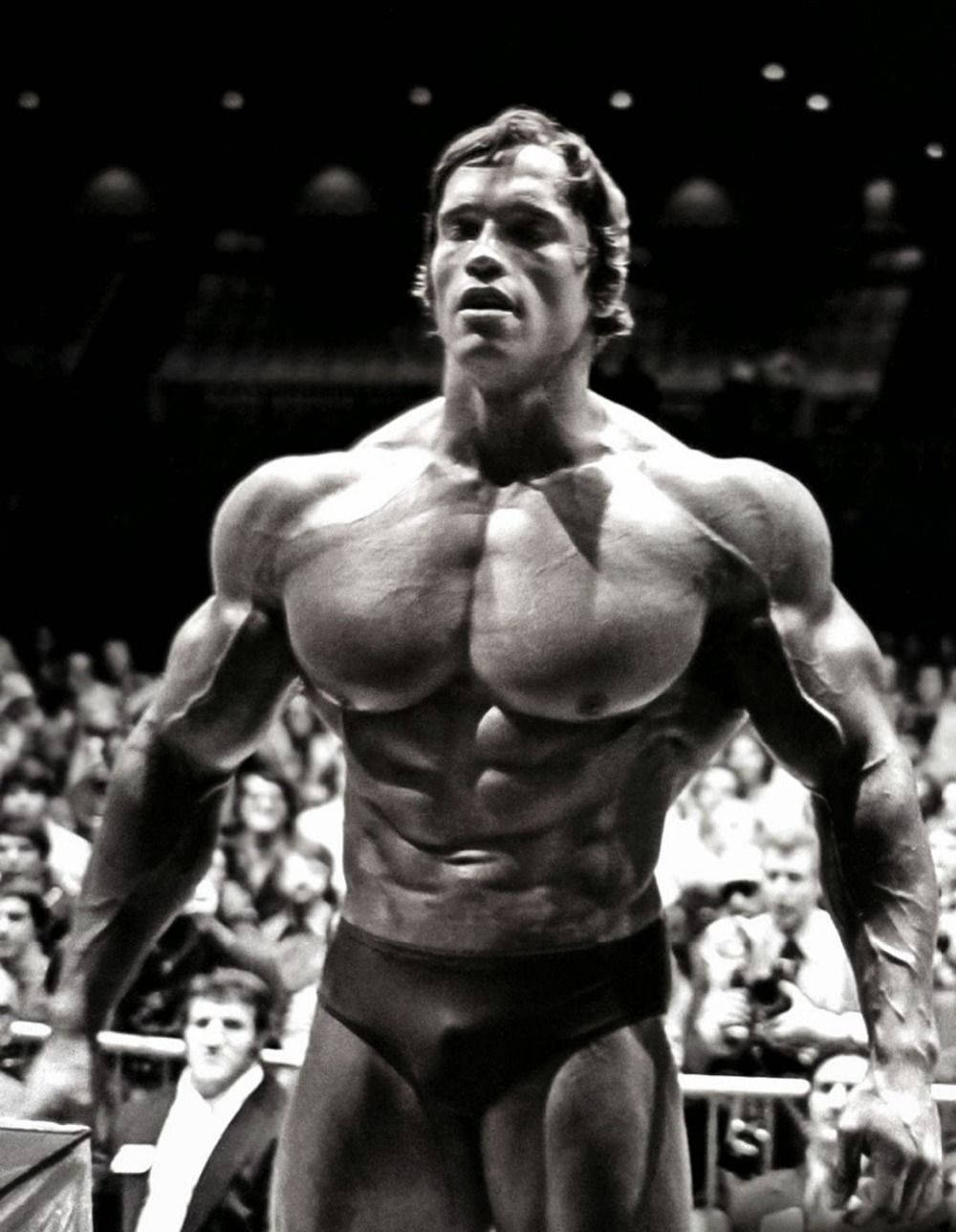 Arnold Schwarzenegger i sort og hvid Wallpaper