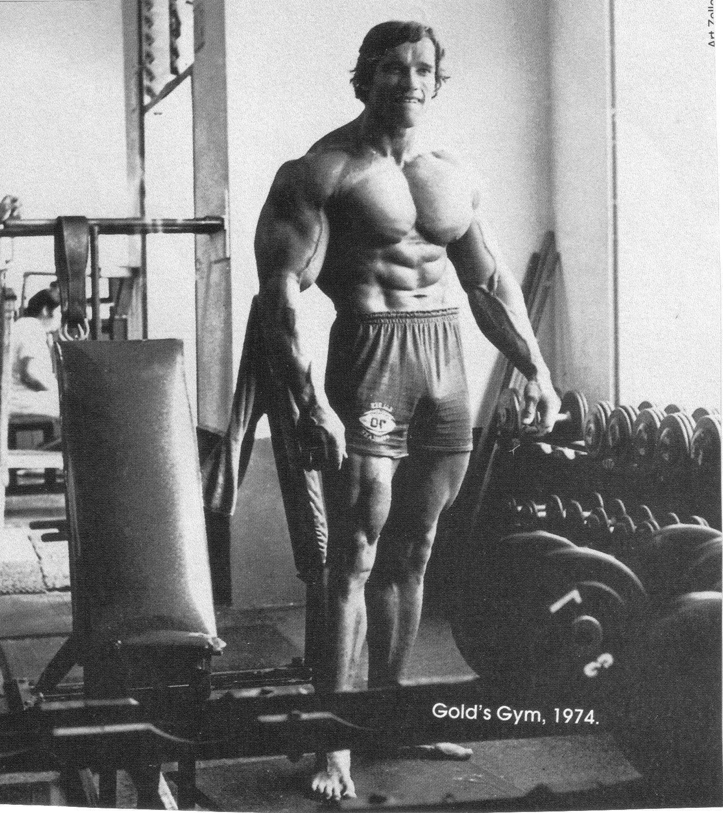 Arnold Schwarzenegger In Gold's Gym Background