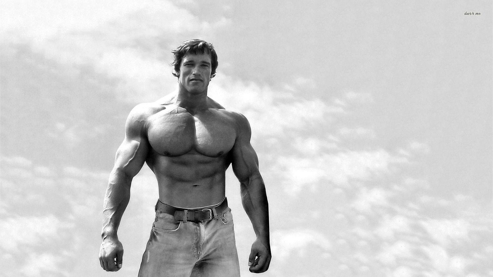 Arnold Schwarzenegger Wallpaper Picture
