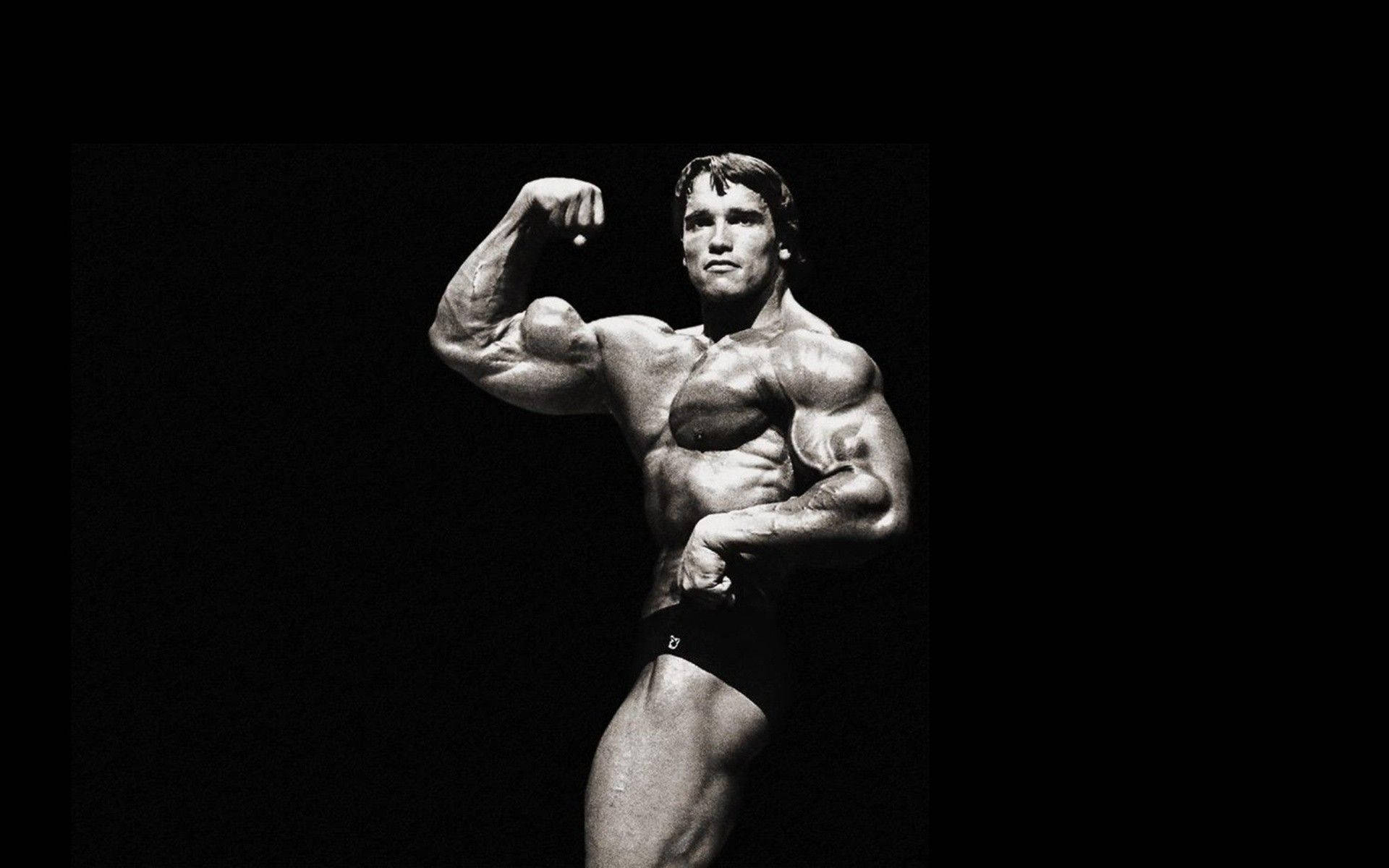 Arnold Wallpaper Picture