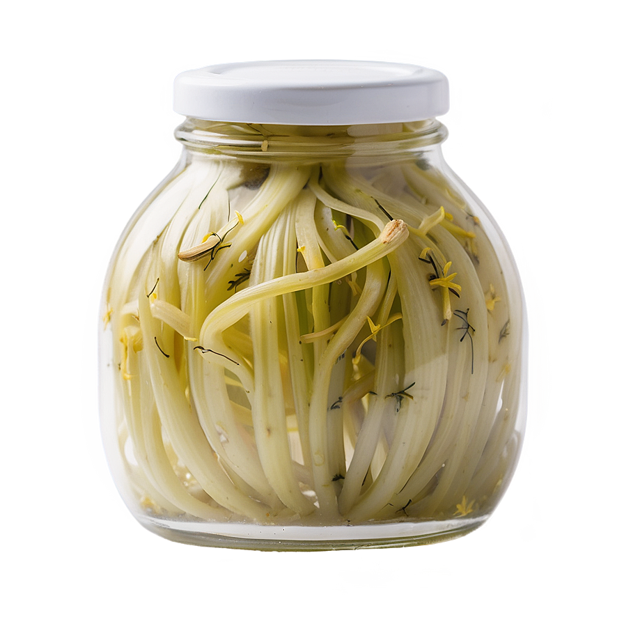 Aromatic Pickled Fennel Png 85 PNG