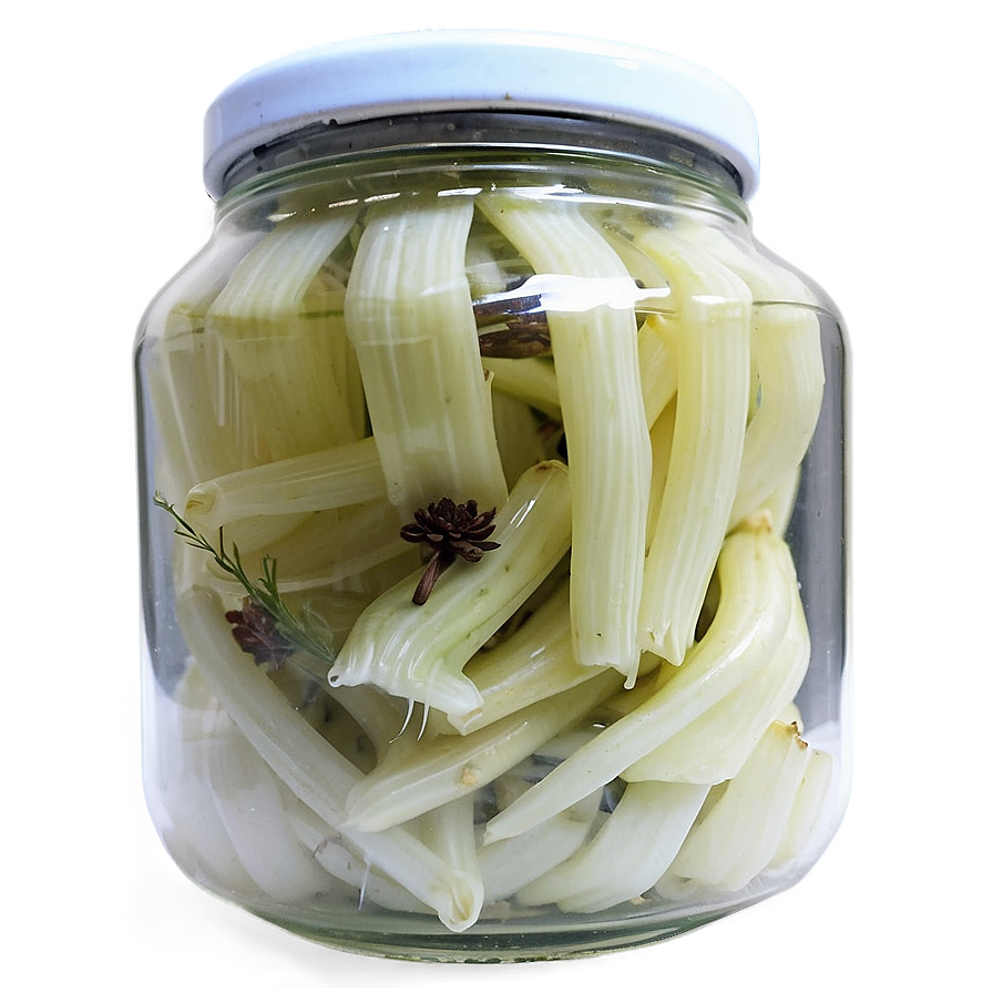 Aromatic Pickled Fennel Png 85 PNG