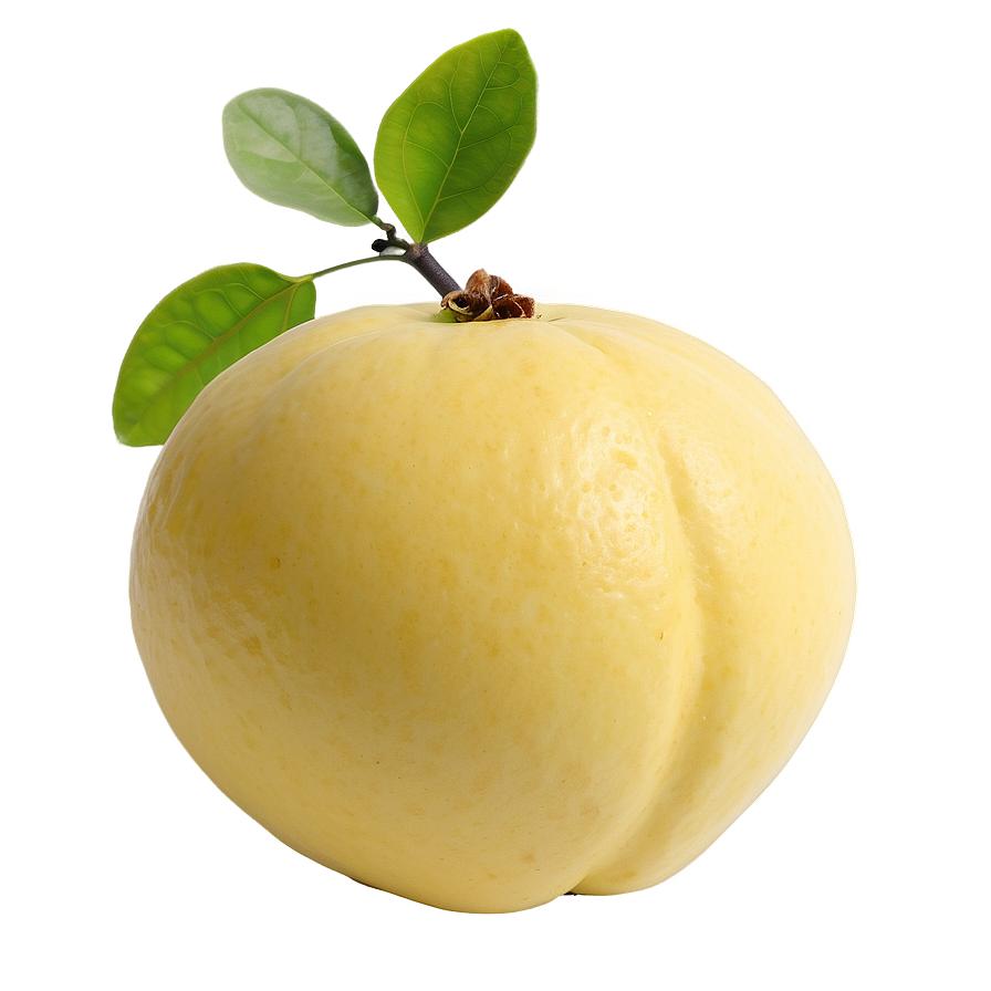 Aromatic Quince Png Slo PNG