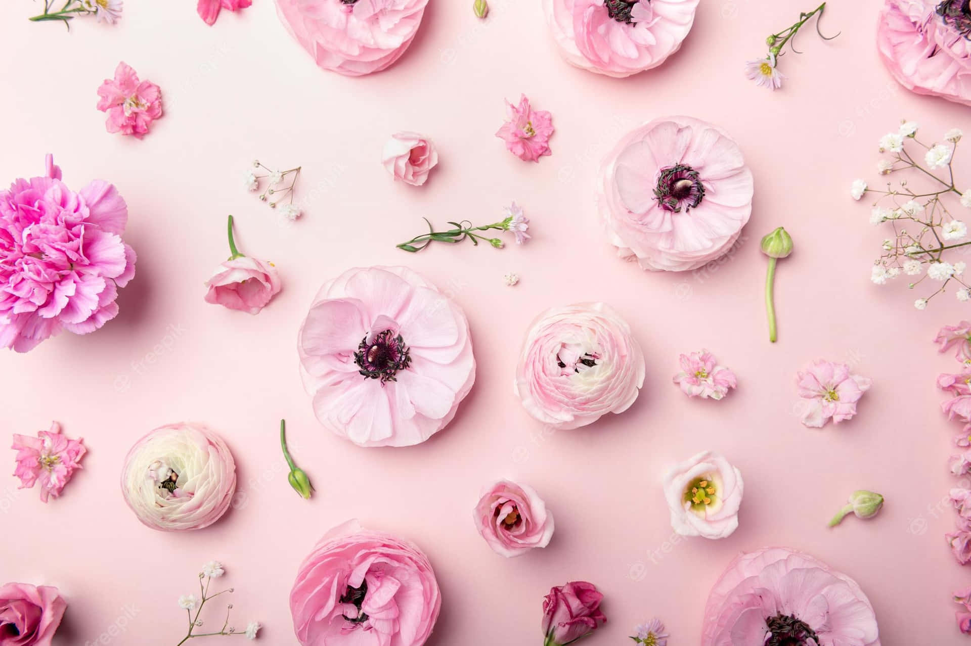 Arrangement Of Tender Pink Flowers Wallpaper