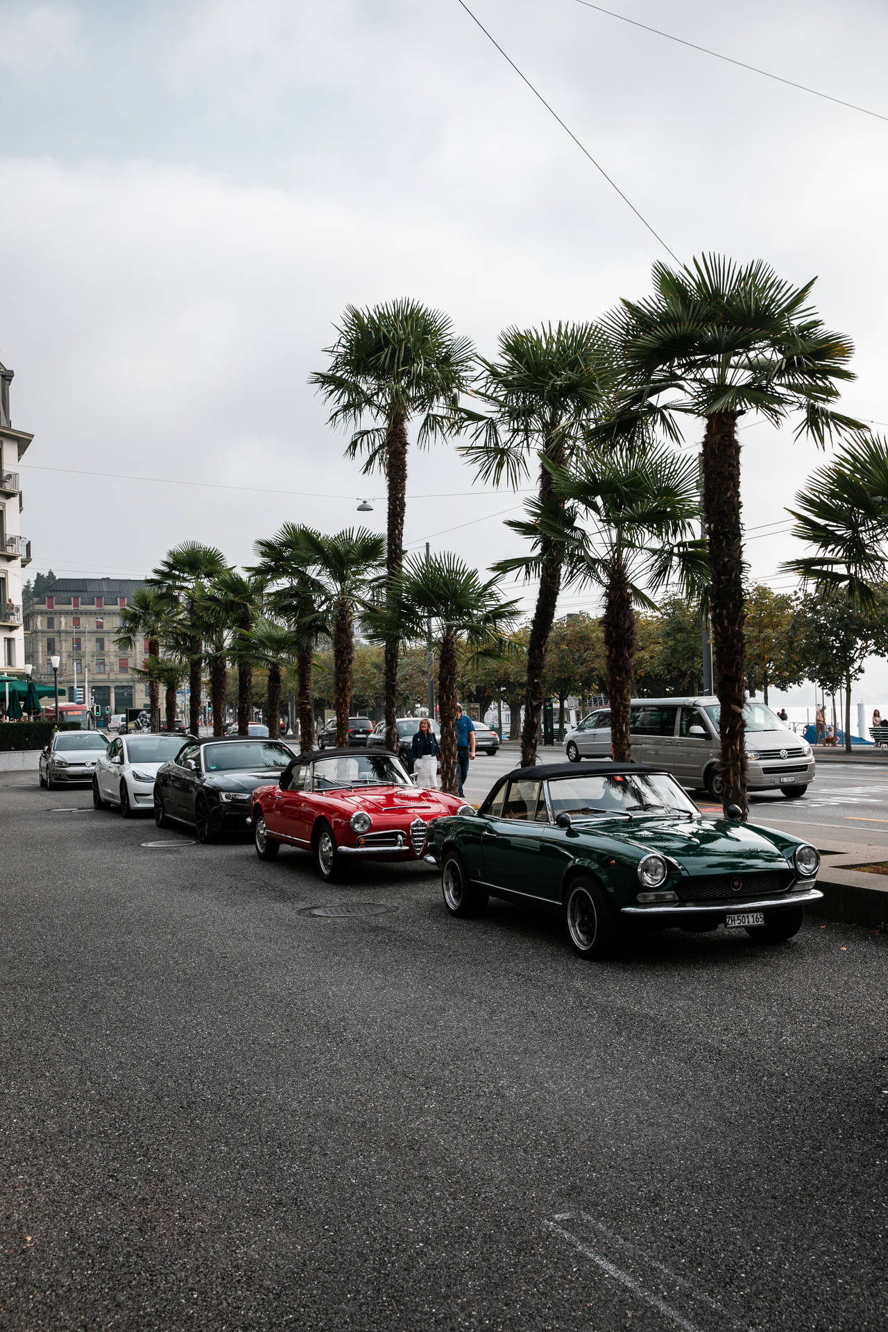 Array Of Alfa Romeo Cars Picture