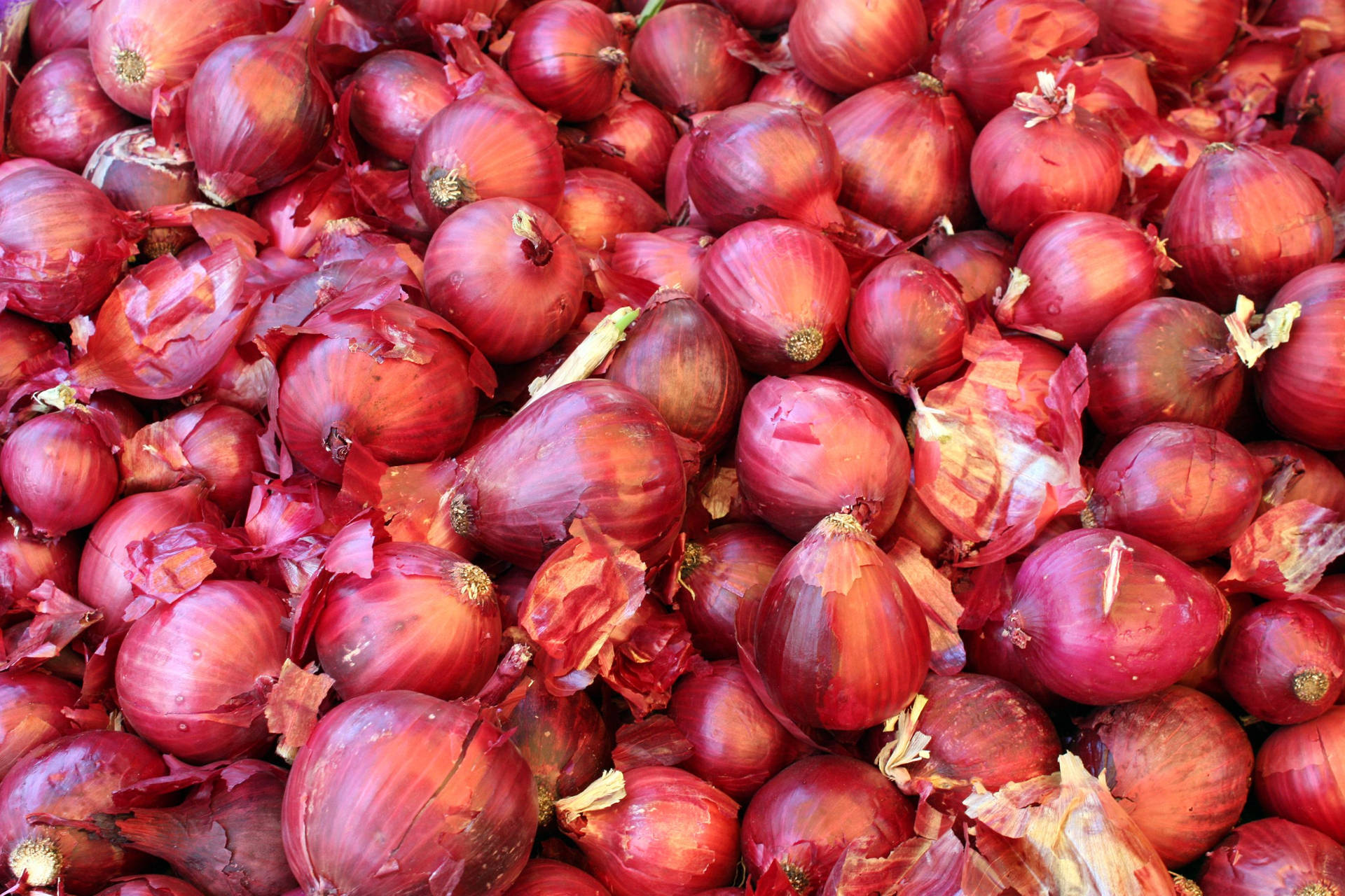 Array Of Red Onions Small To Large Size Wallpaper