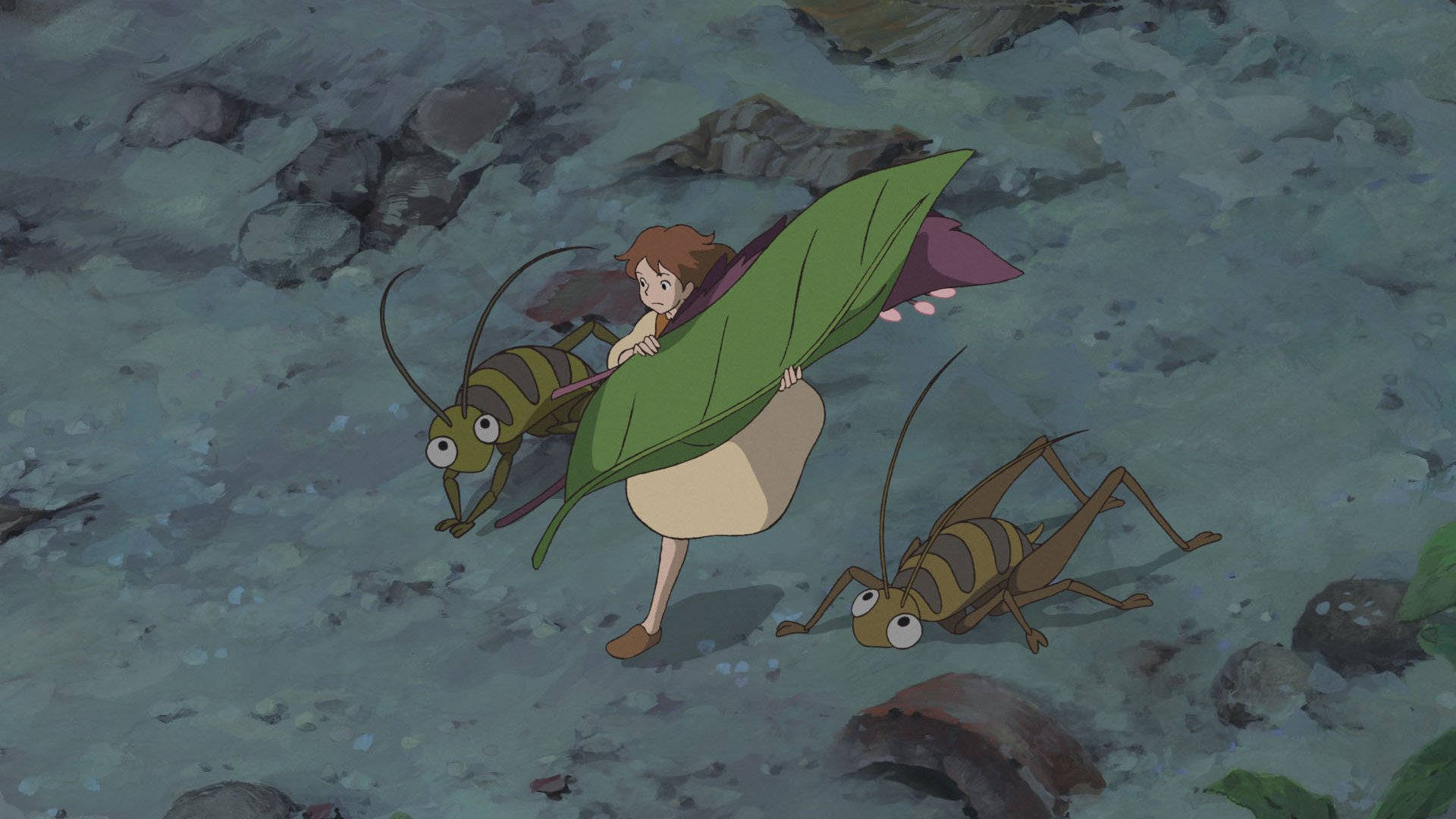 Arrietty And Insects Background